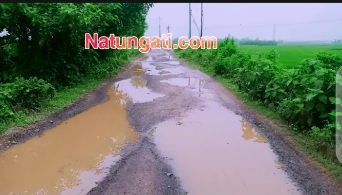 বাঁধের রাস্তায় জমছে বৃষ্টির জল